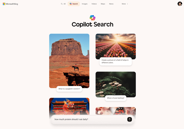 Copilot Search